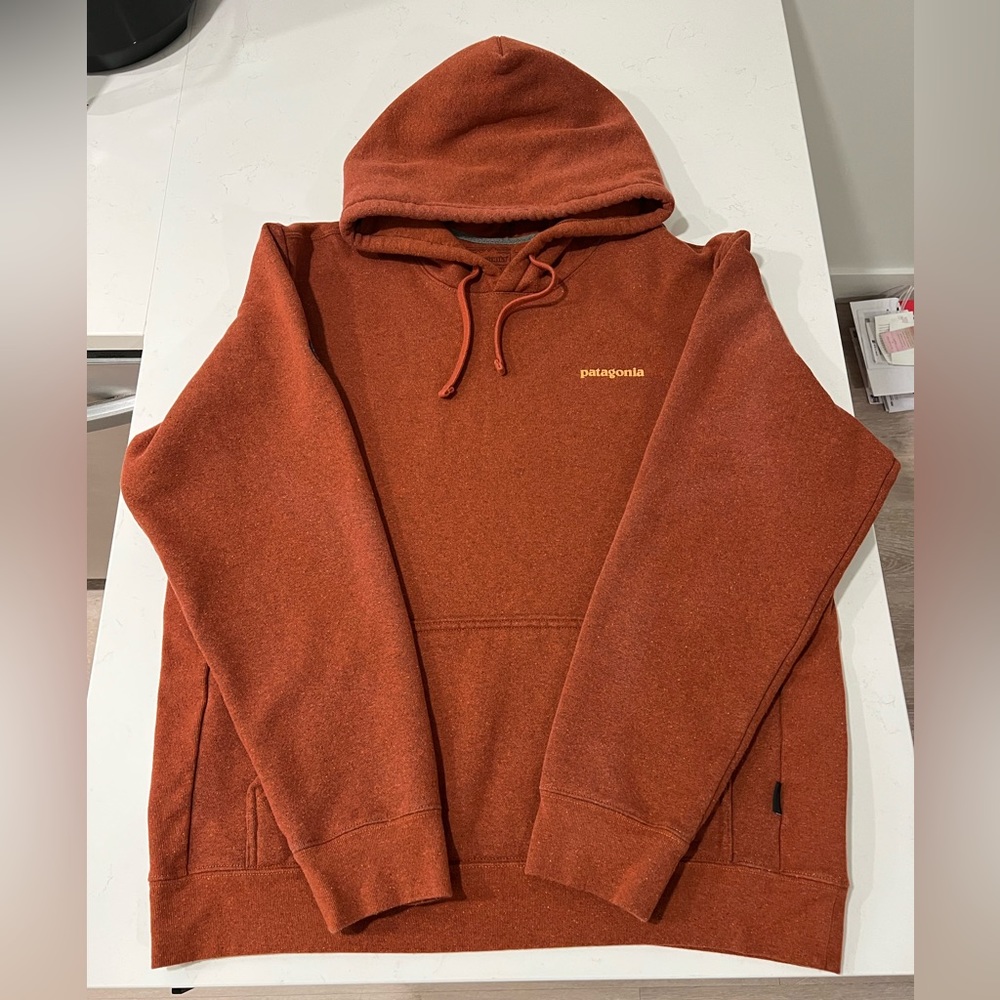 Patagonia Men’s Hoodie